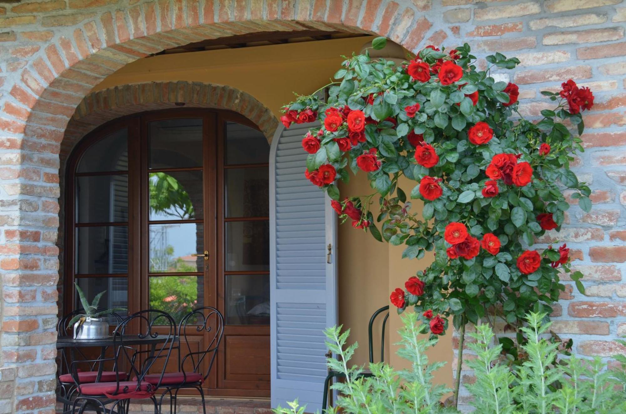 Casa Magnolia Lägenhet Terricciola Exteriör bild
