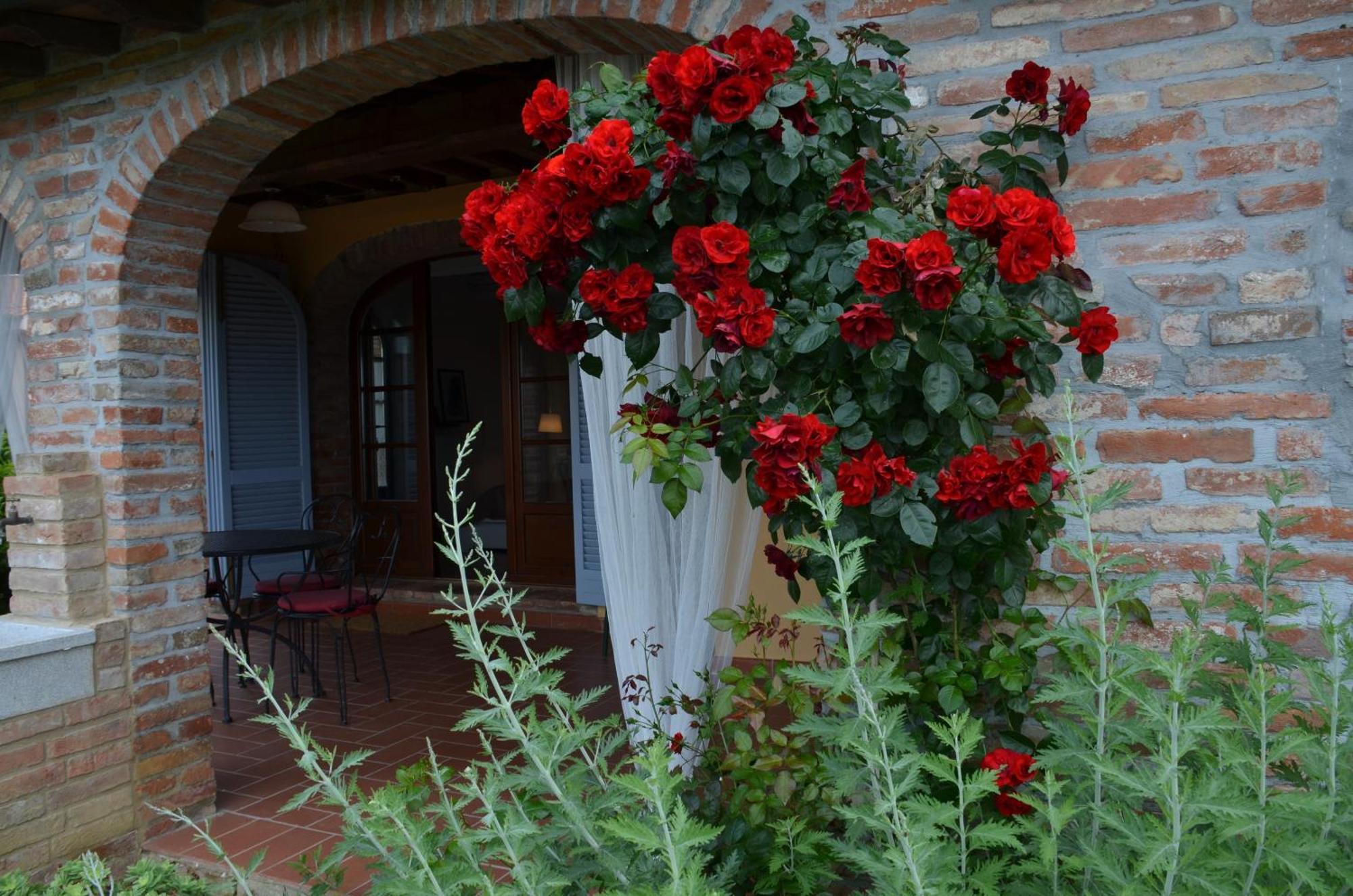 Casa Magnolia Lägenhet Terricciola Exteriör bild