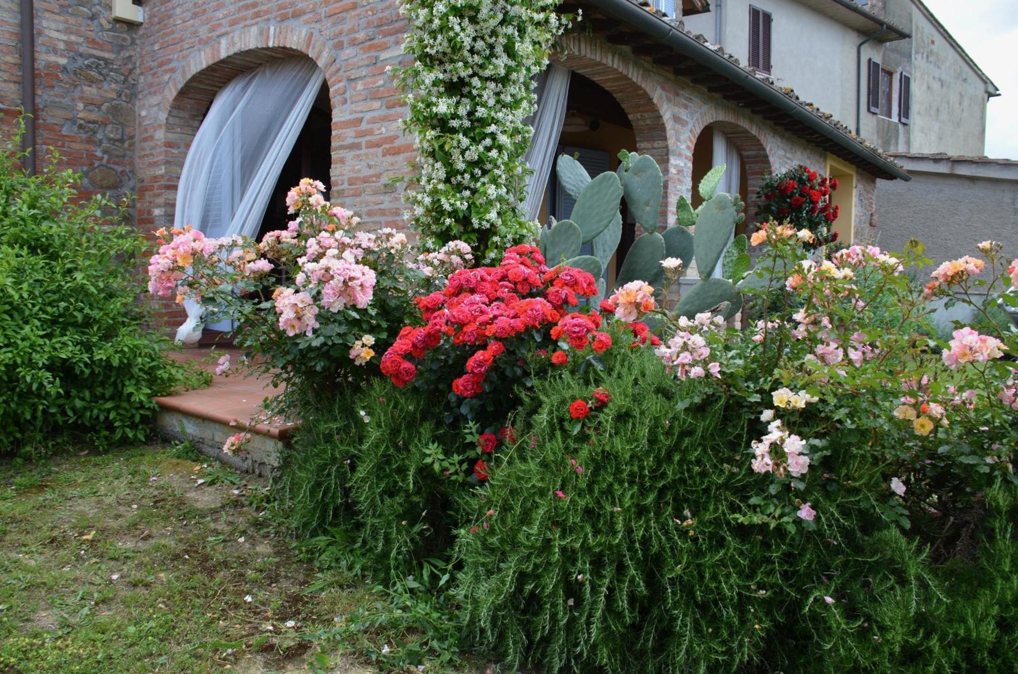Casa Magnolia Lägenhet Terricciola Exteriör bild