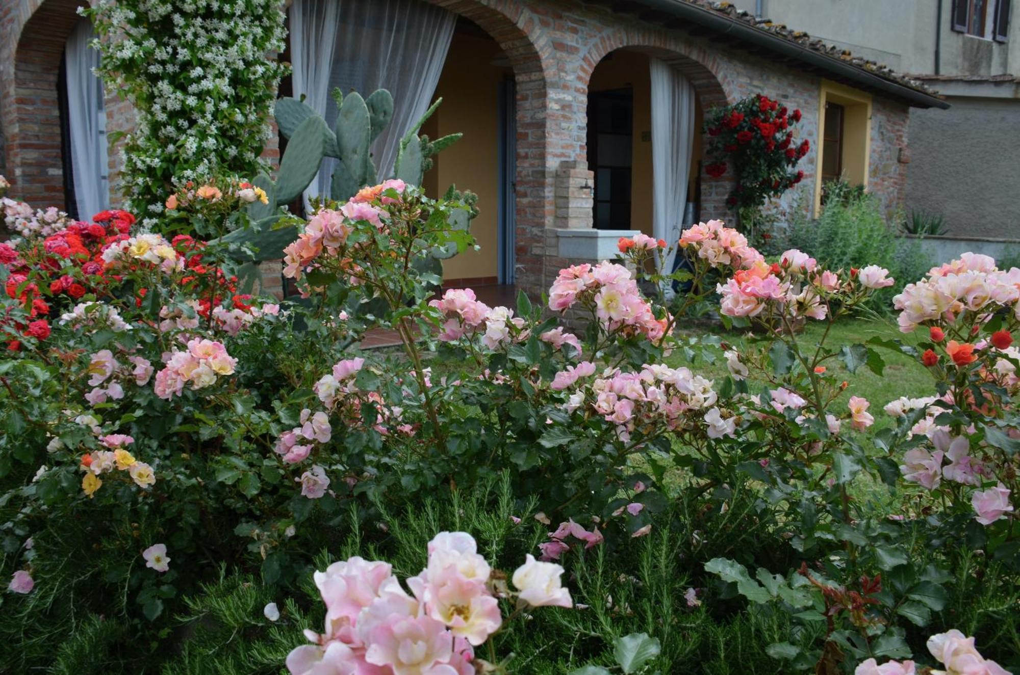 Casa Magnolia Lägenhet Terricciola Exteriör bild